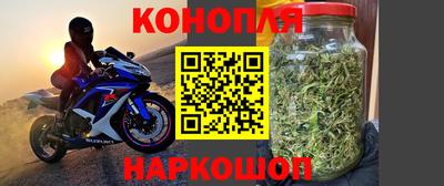 дживик Будённовск