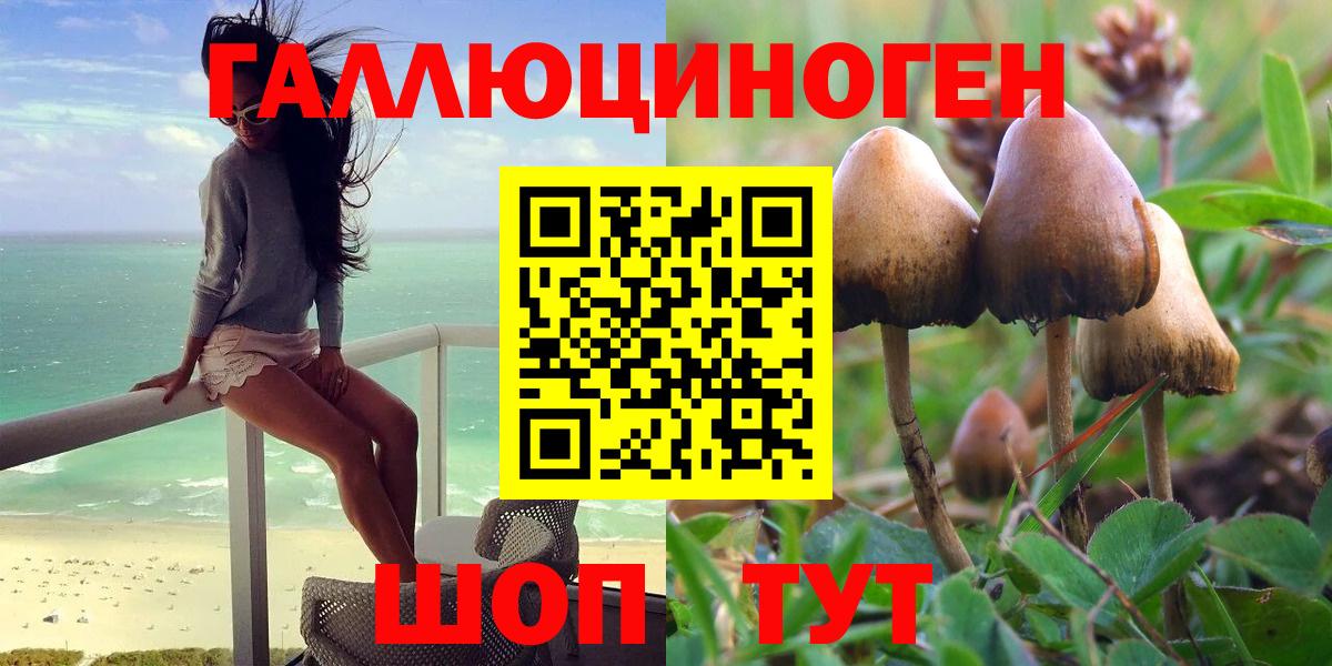 Псилоцибиновые грибы Magic Shrooms  Галлюциногенные грибы Psilocybine cubensis  Вышний Волочёк 