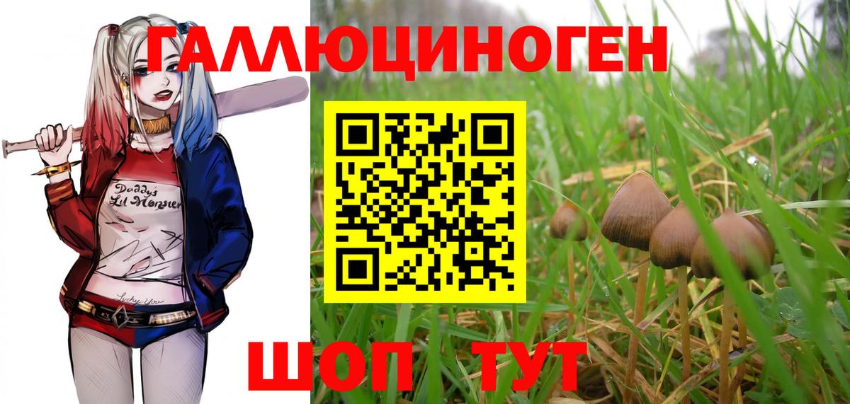 Вышний Волочёк  Псилоцибиновые грибы Magic Shrooms  Вход с VPN 